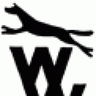 Shropshire Gold & Black