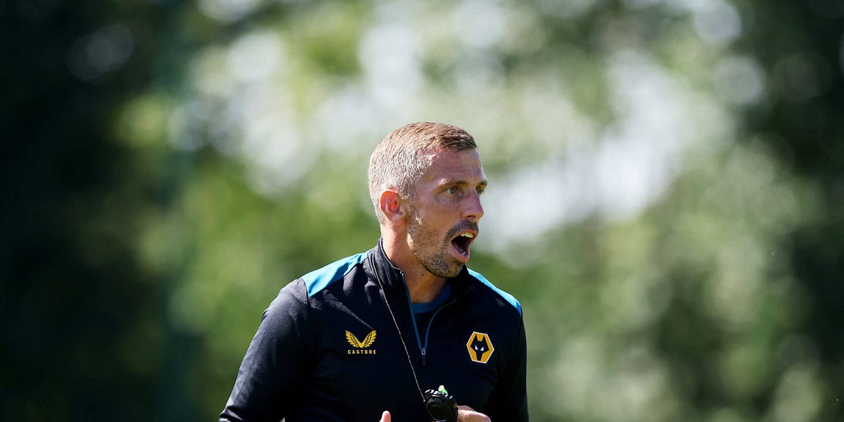 oscillatingwildly.substack.com